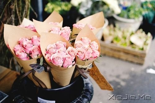 �������ֻҪ�������ڣ��ݳ���û����Ļ (5)