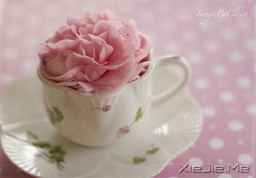 晚安心语:青春带着疼痛,却又义无反顾 (8)