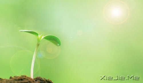 晚安心语:最喜欢谈论你的人,往往是最不了解你的人 (2)