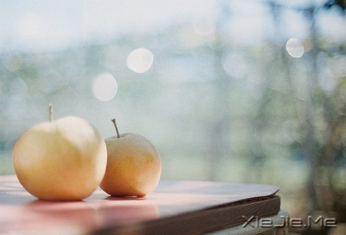 �簲�����Ϊ�Լ����Ϊ���ˣ���������� (10)