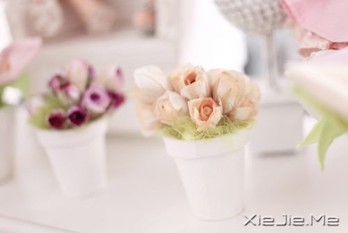 早安心语:我们以为的无路可走,其实是生命另一段旅程的开始 (6)