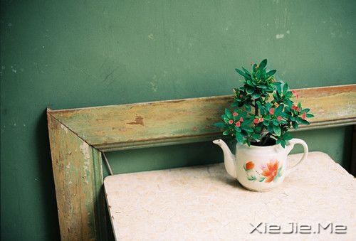 晚安心语:人最软弱的地方,是舍不得 (7)