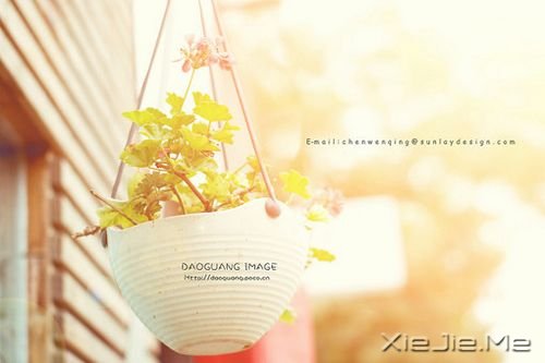 ���������л��ȥ�ɣ������������һ�����õ�δ�� (10)