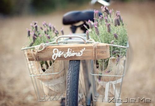 早安心语:这世上只有一个你 (9)