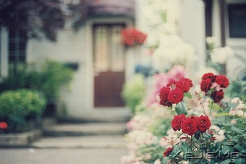 晚安心语:总有一次哭泣,让人瞬间长大 (6)