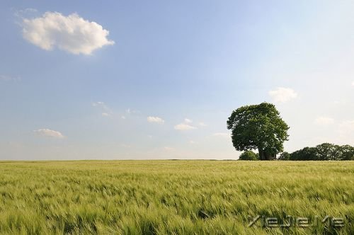 早安心语:逆风的方向,更适合飞翔 (7)