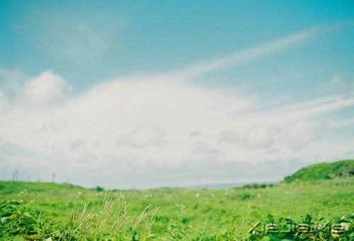 早安心语:生活,不怕苦,就怕麻木 (9)