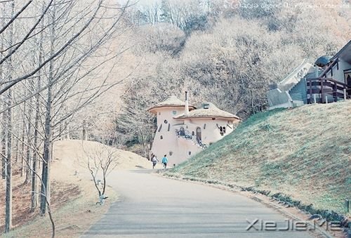 早安心语:自己的笑容才是最美的风景 (5)