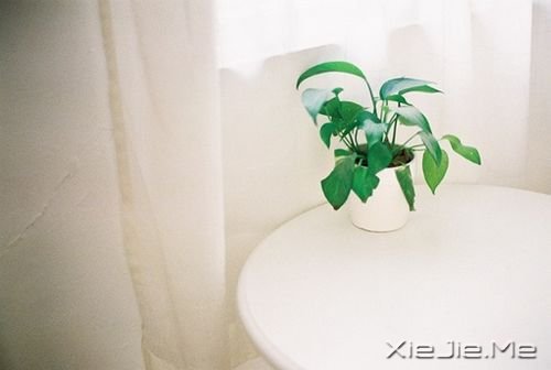 早安心语:你生活在别人的眼神里,就迷失在自己的心路上 (3)