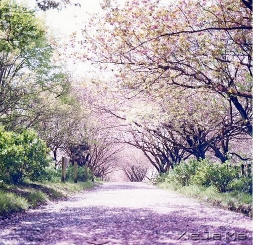 ���������ȥ�Ķ�������ò�������ò��� (1)