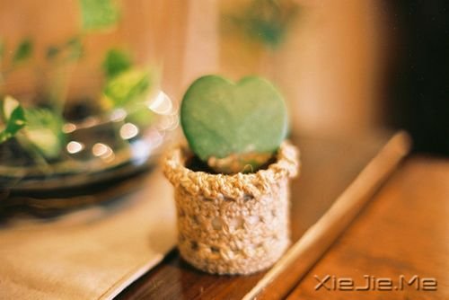 晚安心语:我想成为你最好的邂逅,最难的再见 (17)