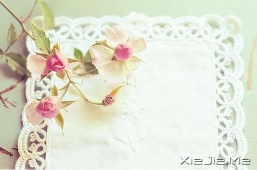 单纯一辈子 (8) 小清新图片 (8)