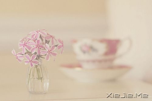 遇见了,就好好珍惜 (6) 小清新图片 (6)