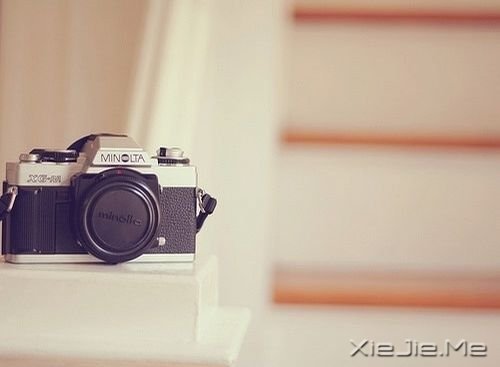 一辈子不长,活给自己看 (4) 治愈系图片