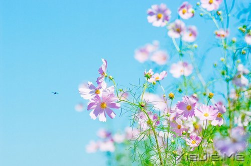 经典语录:与其埋怨世界,不如改变自己 (3)