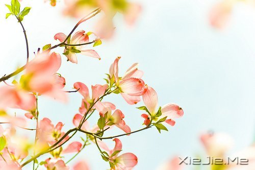 ��ϥҲ�����ð��鱣�� 