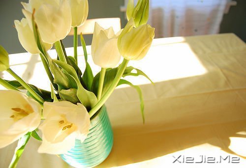 没有什么可以一次拯救你,就像没有什么能一次就打倒你