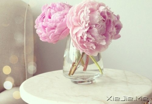 我们为什么急着长大