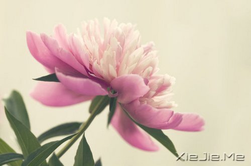 做好自己不留任何遗憾 (3)