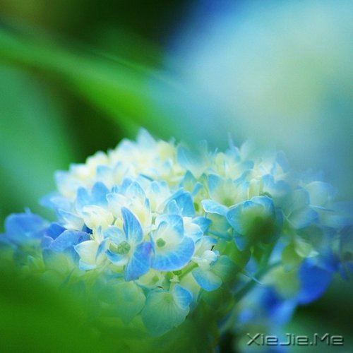 生活的九大智慧 (3)