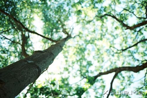 ������Ҫ��ֵ�ʲô�����Կ������������Ϊ��