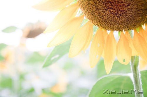 文字:20篇感动的微小说