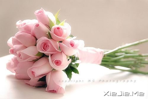 25条经典智慧语录 (4)