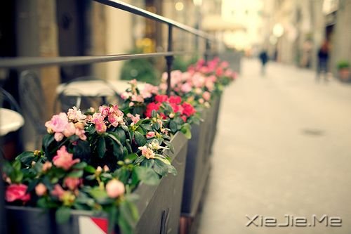 ����ϵͼƬ (2)