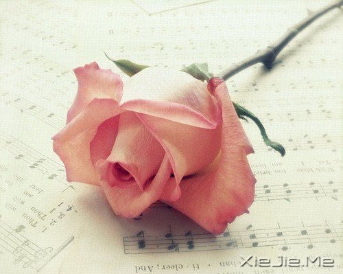 ����ϸ��һ������